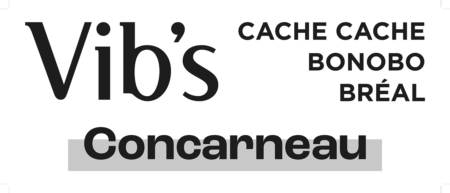LOGO_VIBS_CONCARNEAU