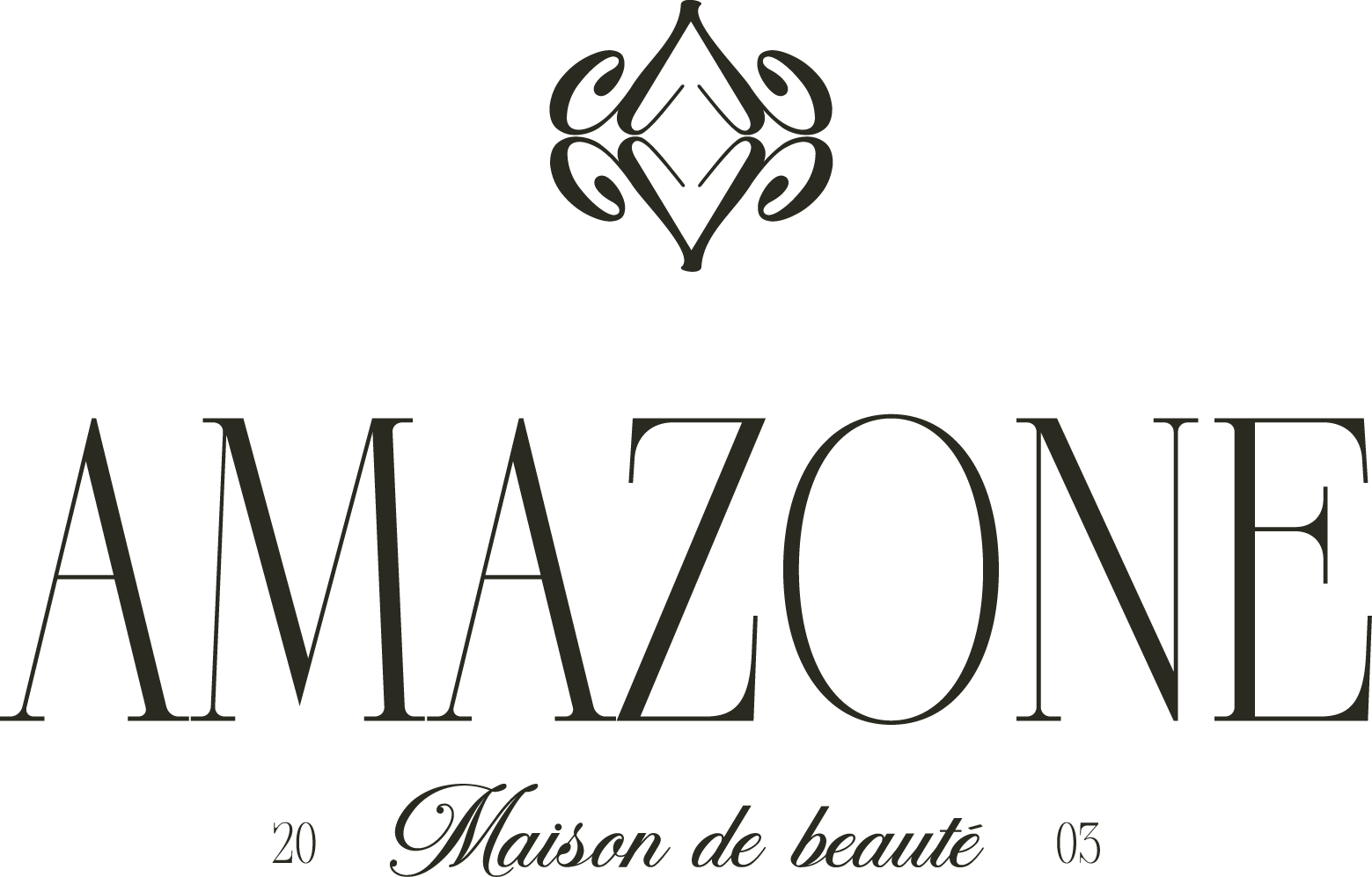 Logo amazone 3